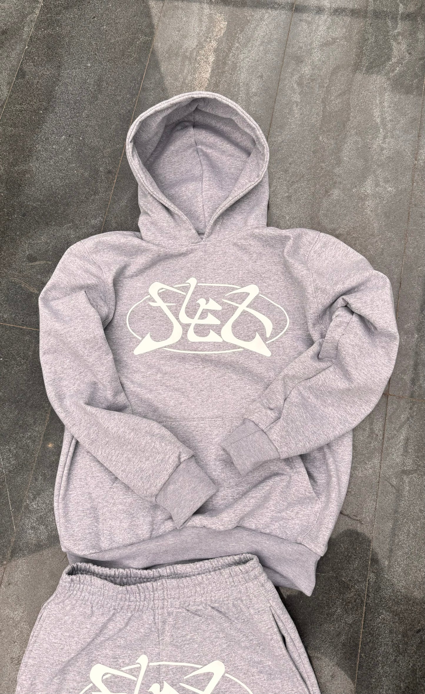 Hoodie "Big Logo"