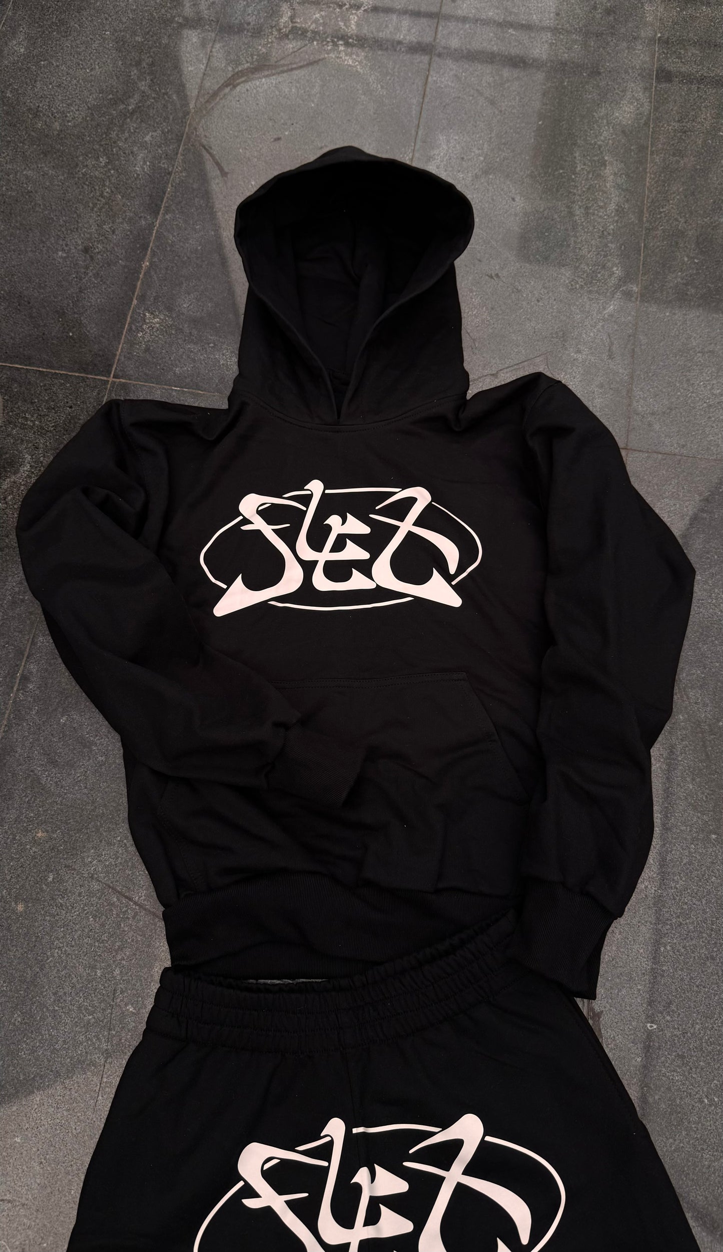Hoodie "Big Logo"